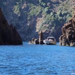 Video Promenade Dauphins Corse Scandola