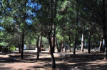 Camping Balanea