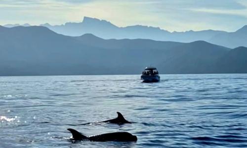 Scandula + Girolata + Piana